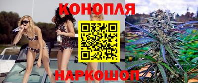 СК Краснодар