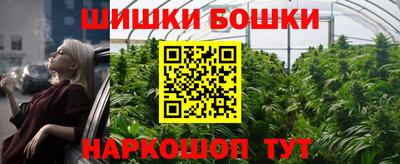 СК Краснодар