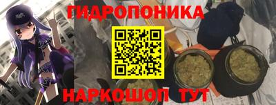 СК Краснодар