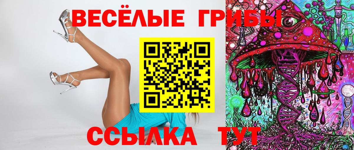 Галлюциногенные грибы мицелий Избербаш