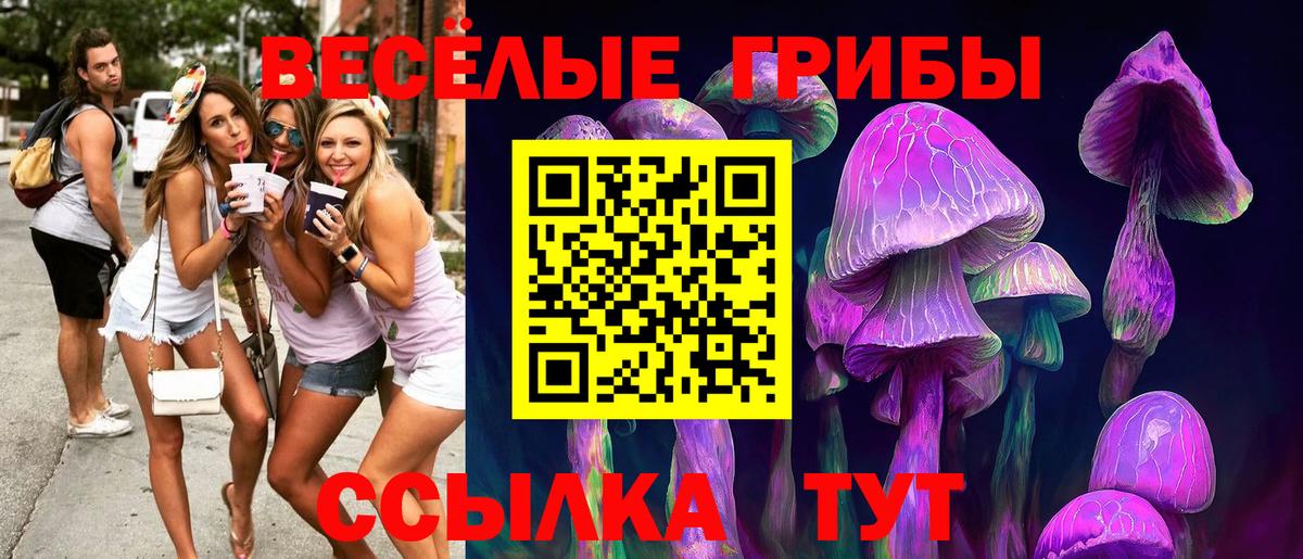 Избербаш  Галлюциногенные грибы Magic Shrooms  Галлюциногенные грибы прущие грибы  Вход с VPN 
