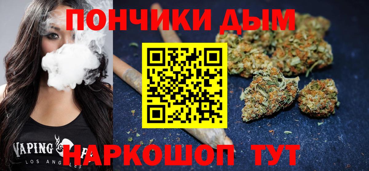Бошки Шишки сатива Избербаш